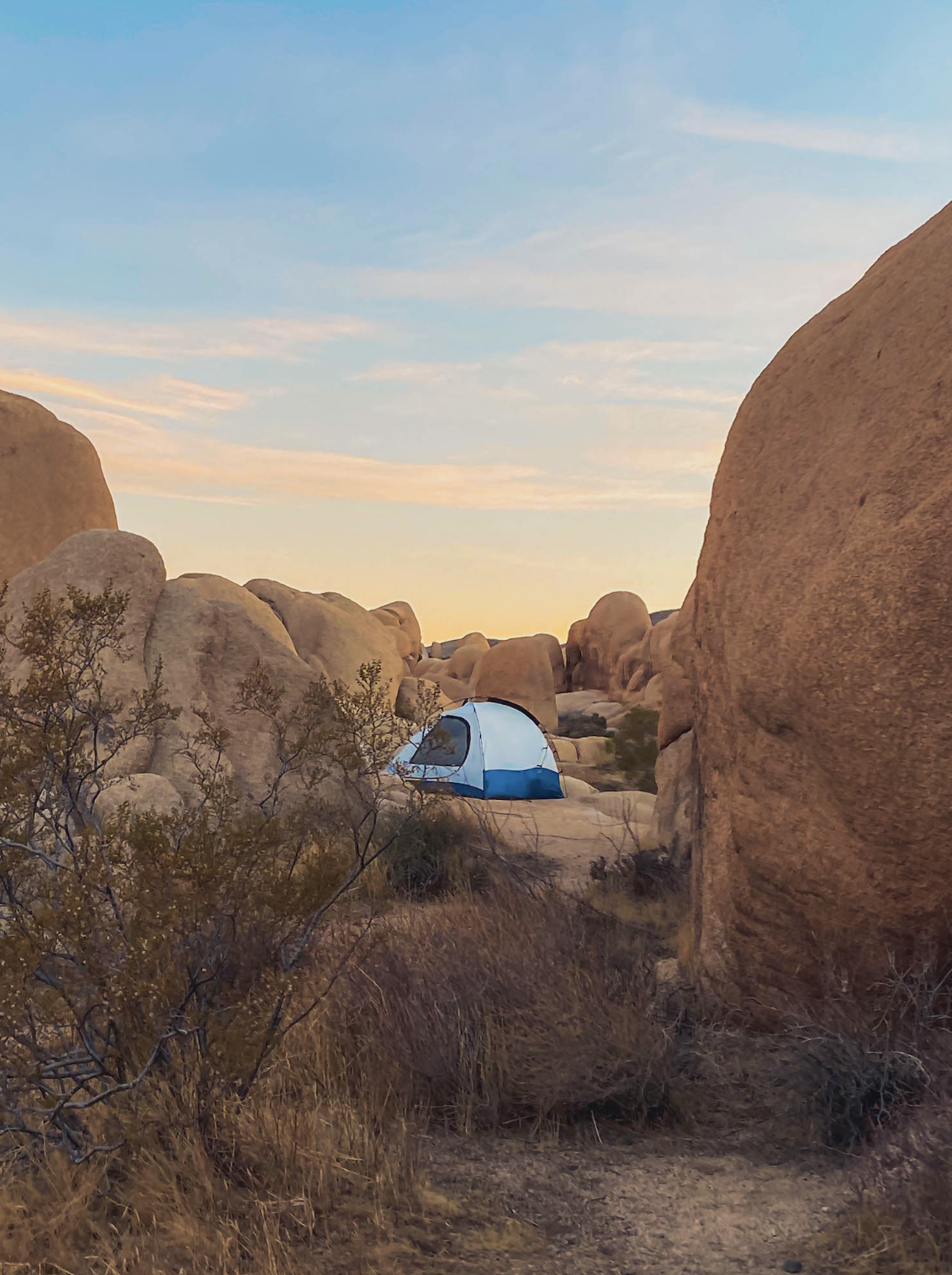 Tent camping at Joshua Tree National Park. Photography by California Travel Escapes.